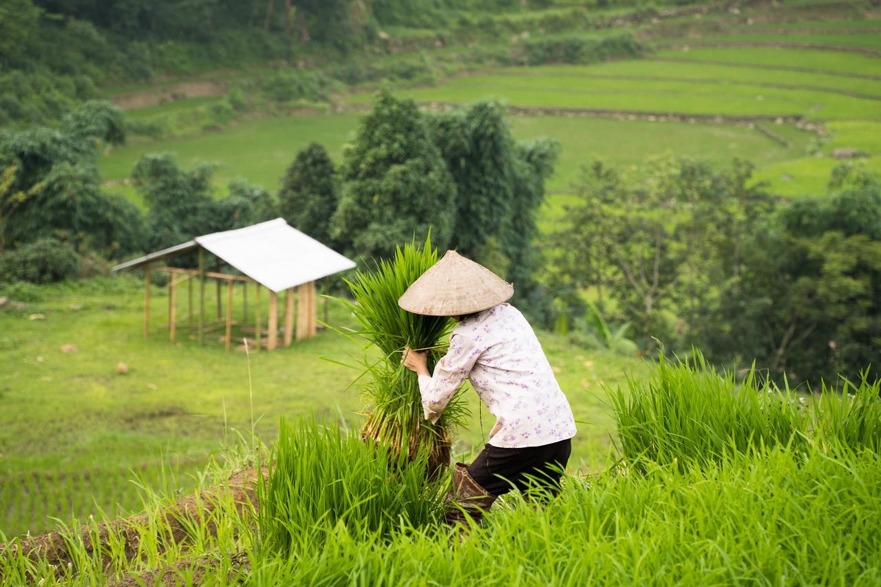 Tavan Ecologic Homestay Lao Chai Екстериор снимка