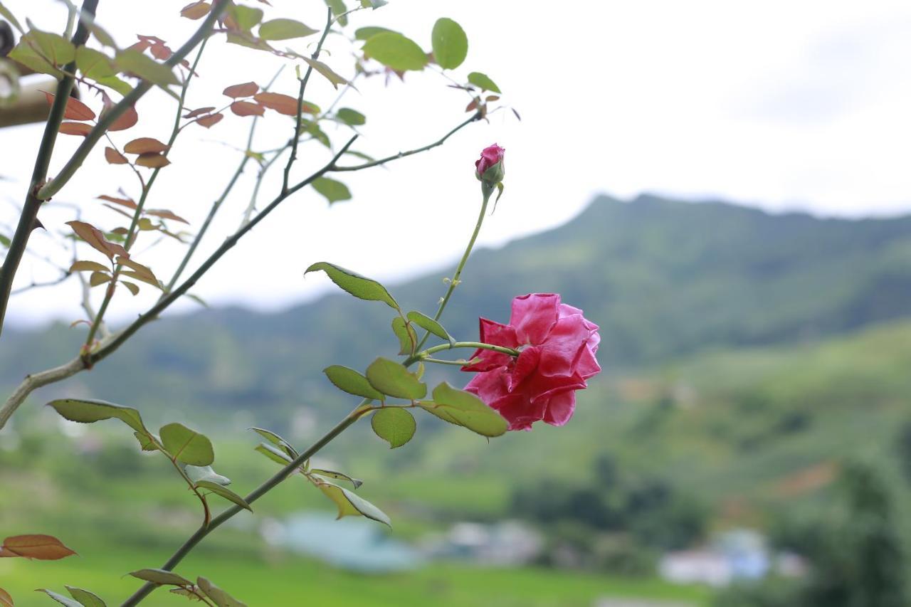 Tavan Ecologic Homestay Lao Chai Екстериор снимка