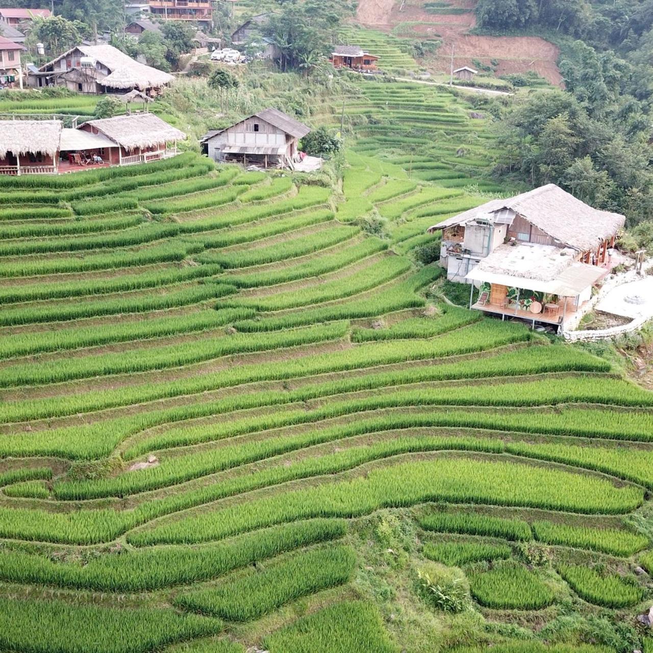 Tavan Ecologic Homestay Lao Chai Екстериор снимка